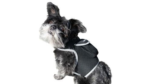 Free Phone App Pet Tracker Pocket GPS Dog Tracking System Mini Pet Tracker Size:S