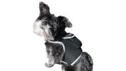 NEW Fashionable Designed Wireless Pet Tracker GPS GSM GPRS Pet Locator Size:M