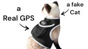 Dependable Waterproof Collar Pet Locator GSM GPS Dog Tracking Systems Size:M