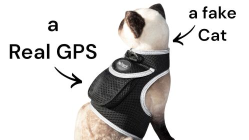 Dependable Waterproof Collar Pet Locator GSM GPS Dog Tracking Systems Size:M