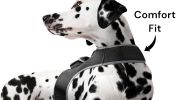 Free Phone App Pet Tracker Pocket GPS Dog Tracking System Mini Pet Tracker Size:S