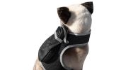 Mini Animal Tracker GPS Locator with Android iPhone Compatible System Size:L